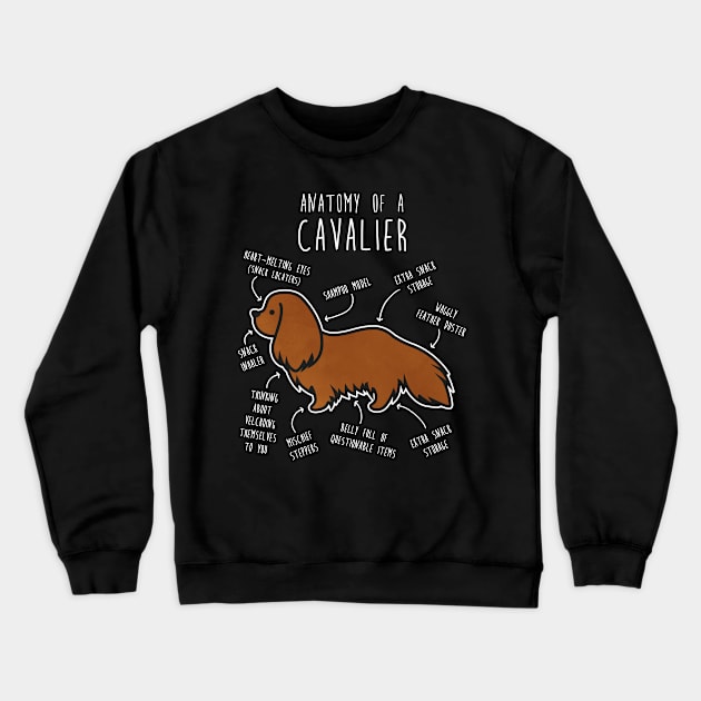 Ruby Cavalier King Charles Spaniel Dog Anatomy Crewneck Sweatshirt by Psitta